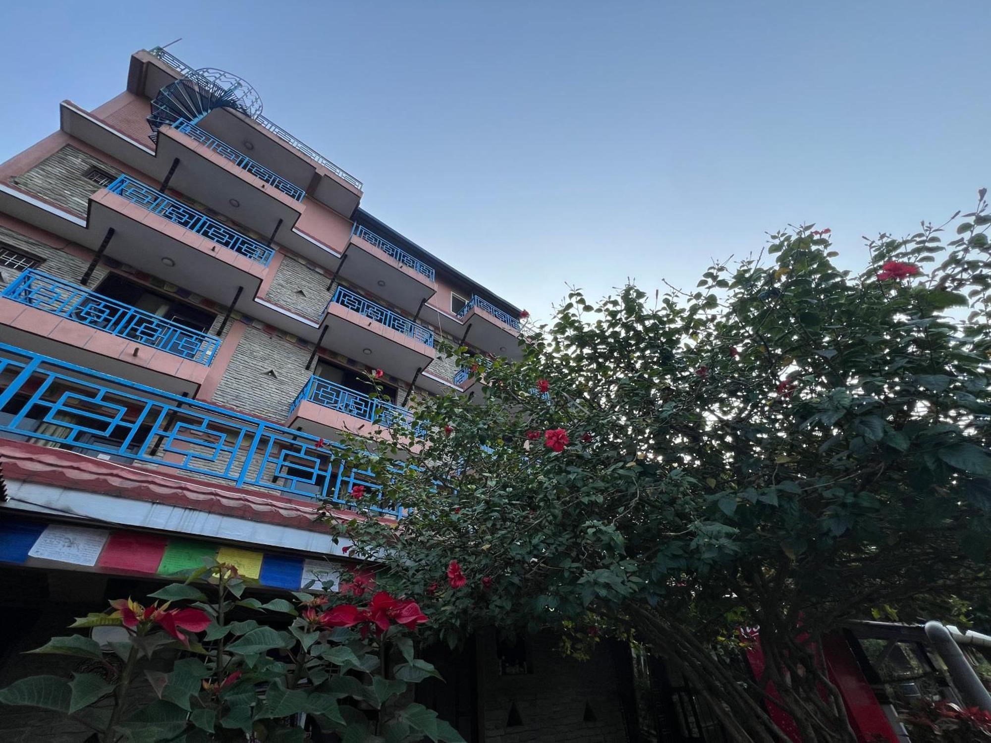 Little Pilgrim Family Lodge ポカラ エクステリア 写真